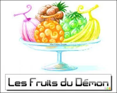 Comment appelle-t-on le pouvoir des fruits du démon ?