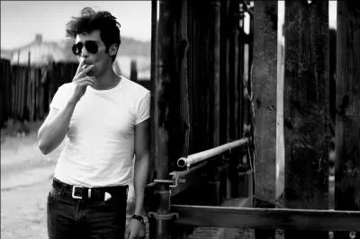 Qui a repris en français la chanson "Stranger" de Leonard Cohen dont voici quelques bribes "Un jour penché à ta fenêtre il te dira qu'il veut renaître au monde que ta tendresse lui cache"..... je t'avais prévenue, je suis étranger" ?