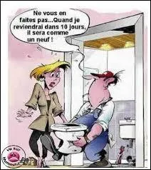 Dans un habitat, cet élément est indispensable au système d'évacuation des déchets organiques expulsés dans les toilettes. Comment l'appelle-t-on ?