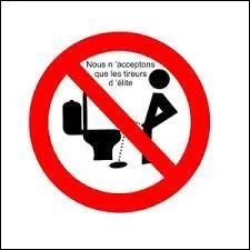 Depuis des décennies, ces pauvres messieurs se font inlassablement rabâcher les oreilles par ces dames... En effet, celles-ci n'ont de cesse d'exiger que les hommes n'oublient pas de baisser la ... des toilettes après utilisation !