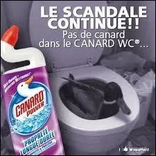 Quel est le célèbre slogan publicitaire des produits d'entretien de la marque "Canard WC" ?