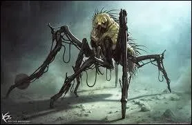 Comment s'appellent les créatures qui rodent dans le labyrinthe ?