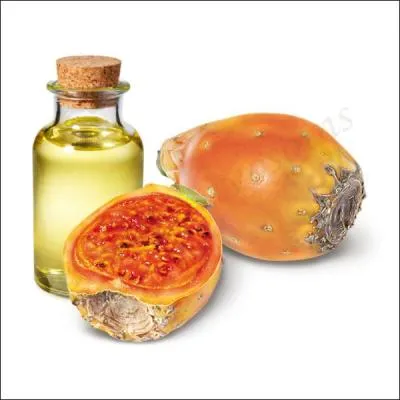 La figue de Barbarie est originaire du Mexique. Chaque fruit contient dans sa pulpe de nombreuses petites graines. Elles sont concassées à l'aide d'une machine adaptée à l'extraction d'huile. Quelle quantité de fruits faut-il pour fabriquer un litre d'huile ?