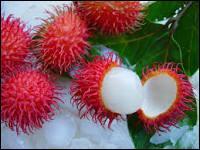 Le ramboutan est un fruit exotique originaire d'Asie. Ramboutan vient du mot "rambut". Que signifie ce mot ?