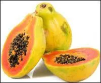 Fruit comestible du papayer, de quel pays la papaye est-elle originaire ?