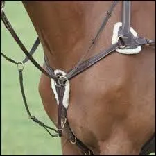 Qu'est-ce que ceci ?