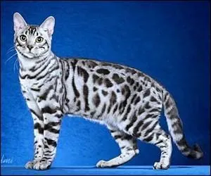 D'eau, de cartes, bâtis en Espagne !