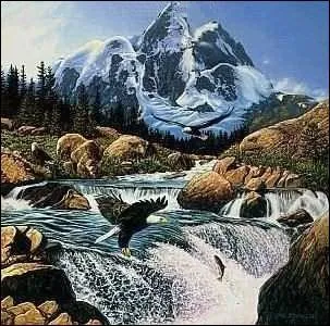 Regardez bien l'image, et trouvez les animaux