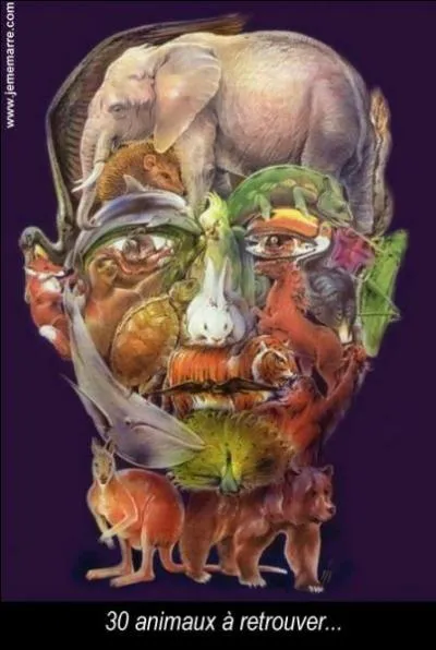 Si vous ne trouvez pas le nom de l'animal présent sur cette image, vous allez être vert !