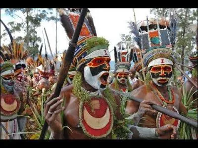 Le cannibalisme a rendu une tribu de Papouasie Nouvelle-Guinée résistante à une maladie neuro-dégénérative, "le kuru". Quelle partie du corps humain consommait cette tribu ?