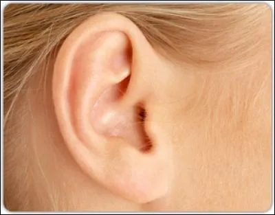 Qui a dit ? "Il m'est arrivé de prêter l'oreille à un sourd, il n'entendait pas mieux."