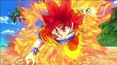 Quelle est la nouvelle forme de Goku ?