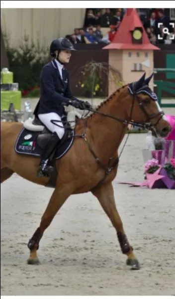 Comment est-on positionné quand on fait un trot ?