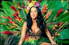 De quel clip est issue cette photo ?