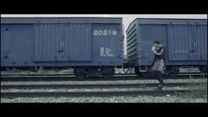 De quel MV provient cette image ?