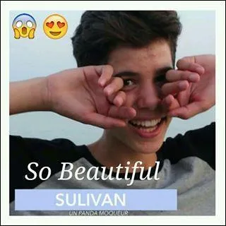 Comment s'appelle son chien de Sulivan ?