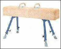 De quel sport s'agit-il  ?