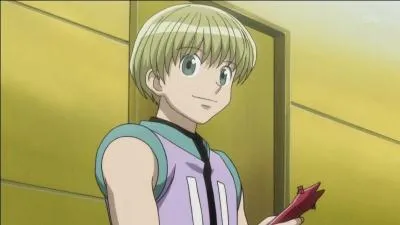 Qui est ce personnage de l'univers de Hunter x Hunter ?