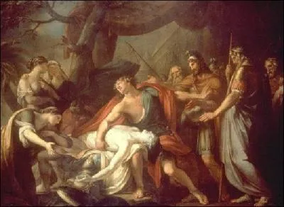 Deux guerriers très amoureux passent des années à s'aimer dans une guerre devenue mythique. L'un est immortel mais a un point faible, l'autre est jeune, beau comme un dieu et colérique au point de tuer son compagnon de jeu. Il mourra tué par Hector. C'est alors que son compagnon, fou de douleur et qui était en grève de la guerre, reprit les armes pour venger son amant et tua Hector. Ce sont...