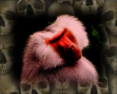 Agressif et sanguinaire, il est considéré comme le dévoreur d'âmes jugées indignes. Qui est-il ?