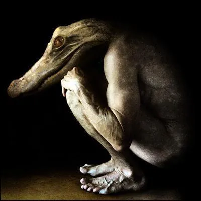 Dans les cités de ce dieu, les Égyptiens entretenaient un crocodile sacré, apprivoisé, il était paré de bijoux, il mangeait des aliments déterminés et des victimes. Qui est-il ?