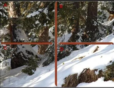 La petite biche se situe en :