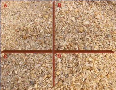 Vous voyez l'araignée dans la partie :