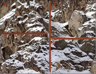 Le léopard des neiges se trouve en :