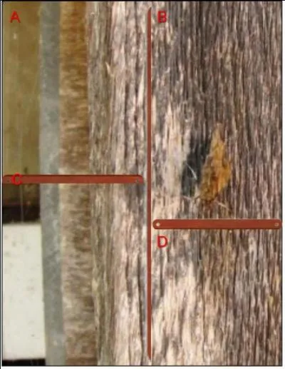 Le papillon est visible en :