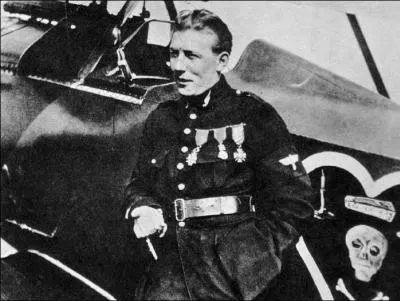 Survolez la réponse, tel un oiseau blanc !