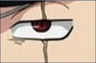 Quel personnage dispose d'un tel il ?