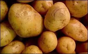 Qu'est-ce que c'est ?