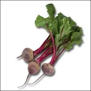 Qu'est-ce que c'est ?