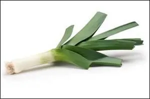 Qu'est-ce que c'est ?