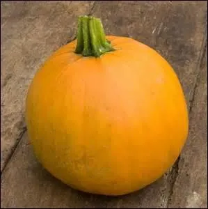 Qu'est-ce que c'est ?