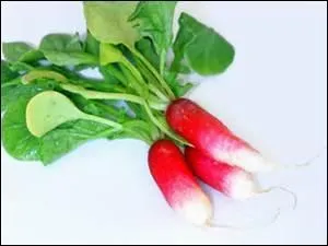 Qu'est-ce que c'est ?