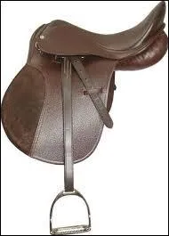 Comment s'appelle la partie de la selle qui relie les &eacute;triers &agrave; la selle ?