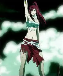 Où Erza range-t-elle ses armures ?