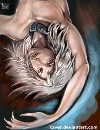 De quel personnage s'agit-il ?