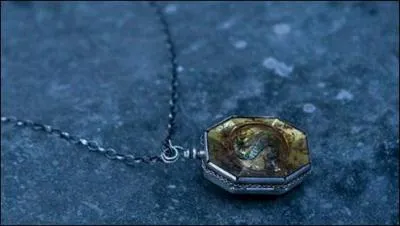 Une fois de retour dans la maison ancestrale des Blacks, Harry Potter et ses amis retrouvent Kreattur. Cherchant les Horcruxes, l'elfe de maison leur annonce qu'il a essayé d'en détruire un sur ordre de son maître Regulus Arcturus Black. Duquel s'agit-il ?