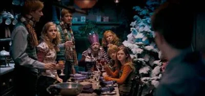 La cuisine du 12, Square Grimmaurd apparaît très peu dans la saga cinématographique. On la voit le mieux dans "Harry Potter et l'Ordre du Phénix". Mais à combien de reprises la voit-on dans le cinquième film ?