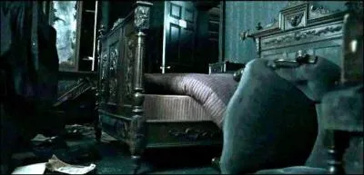 Enfin, le quatrième et dernier étage abritait certainement les chambres de Sirius Black et de Regulus Arcturus Black. Dans quelle chambre trouvait-on certainement plus de vert que de rouge ?