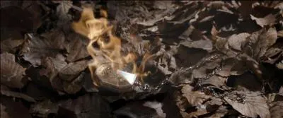 Troisième Partie.
La maison ancestrale de la famille Black recelait d'objets magiques extrêmement précieux dont un Horcruxe, dont il est question précédemment. Concernant cet Horcruxe, combien de sorciers (connus) l'ont-il eu en sa possession dans la saga ?