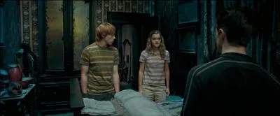 La demeure est devenue propriétaire de la mère de Sirius Black, Walburga Black, au milieu du XXème siècle. Connue pour son côté très caractériel selon son fils Sirius Black, quel est le sujet qu'elle ne voulait surtout pas aborder ?