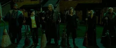 Enfin, le 12, Square Grimmaurd apparaît donc pour la première fois dans "Harry Potter et l'Ordre du Phénix". Les membres de l'Ordre du Phénix viennent chercher Harry Potter au 4, Privet Drive à Little Whinging dans le comté du Surrey alors qu'il vient d'être renvoyé de Poudlard pour mauvais usage de la magie. Lors du vol en balai les amenant au quartier général, quel fleuve survolent-t-ils ?