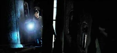 Suite à ces révélations inquiétantes, il est décidé d'un commun accord, de la part de tous les membres de l'Ordre du Phénix, de placer des sortilèges de défense tout autour de la maison. Qui est désigné pour cette mission ?