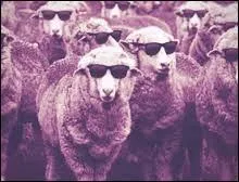 En France, la "mission interministérielle de vigilance et de lutte contre les dérives sectaires" ("Miviludes"), fut instaurée en :