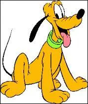 Comment s'appelle le beau chien orange de Mickey ?