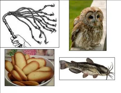 Le mot mystère est :