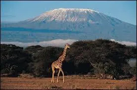 Ci-contre, une vue magnifique du Kilimandjaro. Comment s'appelle la capitale du pays où se situe cette montagne ?